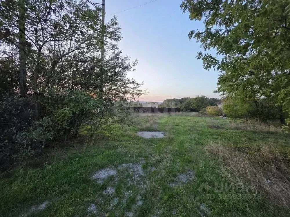 Участок в Краснодарский край, Новороссийск городской округ, ... - Фото 1