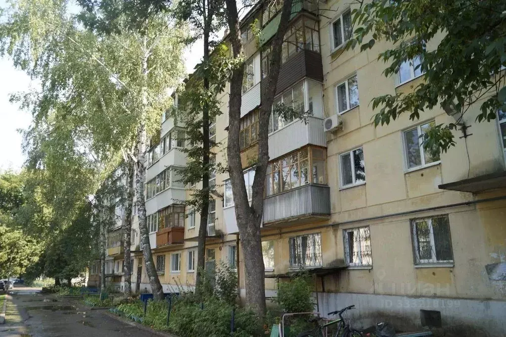 1-к кв. Самарская область, Отрадный Первомайская ул., 39 (30.5 м) - Фото 1