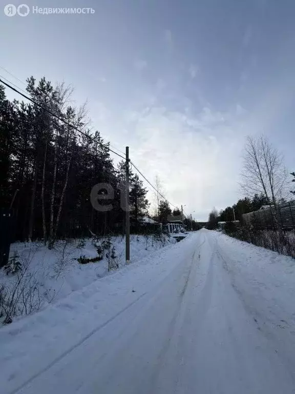 Участок в Сертоловское городское поселение, садоводческое ... - Фото 1