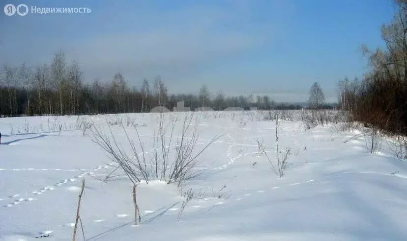Участок в село Глинищево, Северная улица (12.4 м) - Фото 1