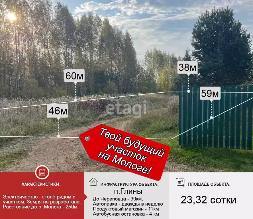 Участок в Вологодская область, Устюженский район, Лентьевское с/пос  ... - Фото 1