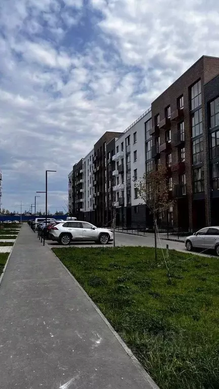 Помещение свободного назначения в Московская область, Одинцовский ... - Фото 2
