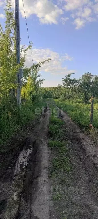 Участок в Мордовия, Саранск Зеленый Друг СНТ,  (4.6 сот.) - Фото 0