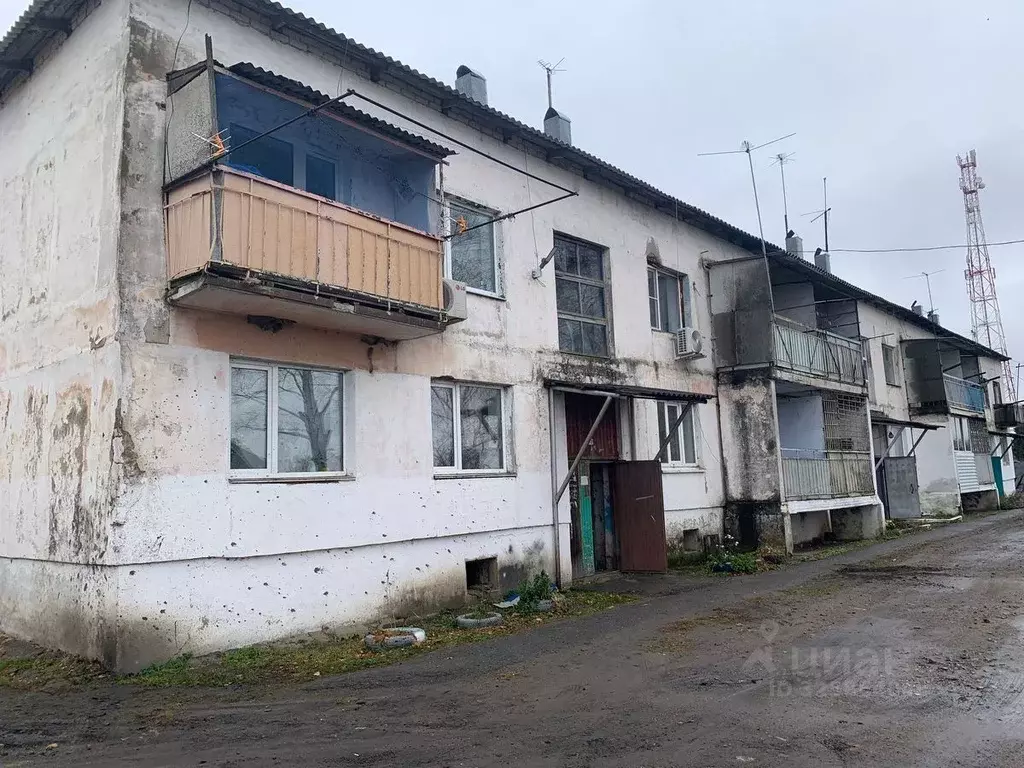 2-к кв. Еврейская автономная область, Смидовичский район, с. ... - Фото 1