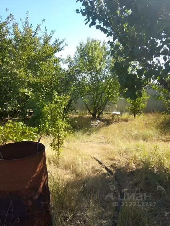 Участок в Волгоградская область, Волгоград Дзержинец СНТ, Винновский ... - Фото 1