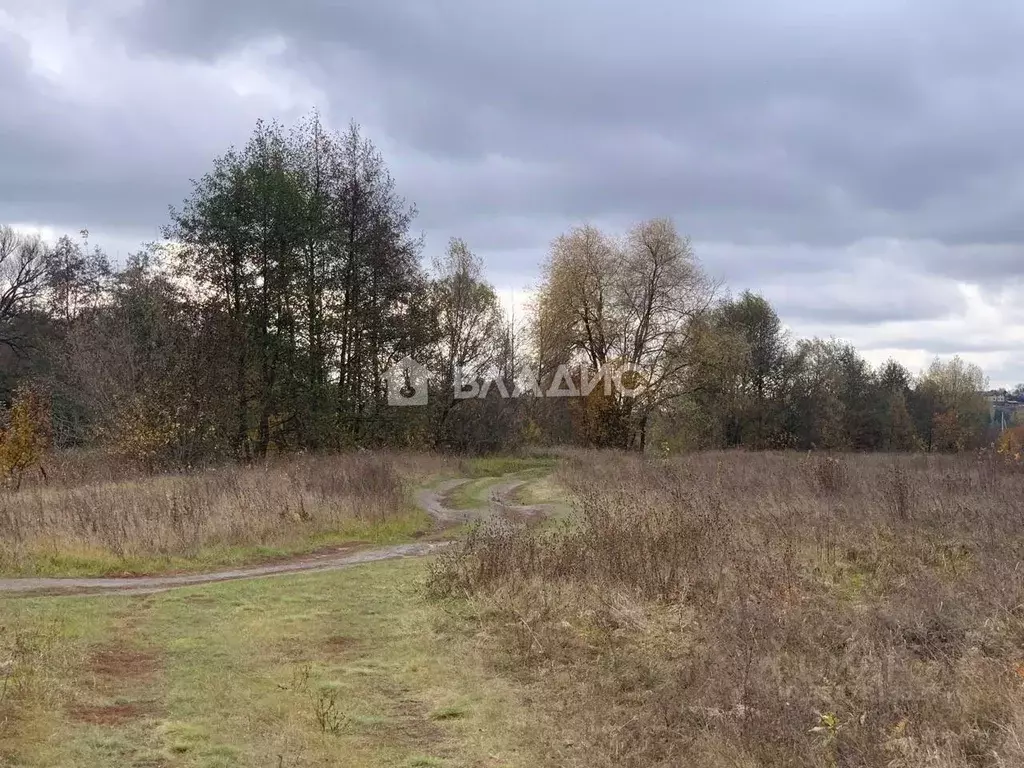 Участок в Воронежская область, Рамонский район, с. Березово  (35.0 ... - Фото 2
