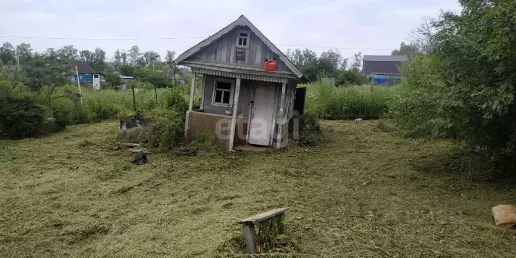 Участок в Хабаровский край, Хабаровск Сад-4 садовое товарищество,  ... - Фото 1