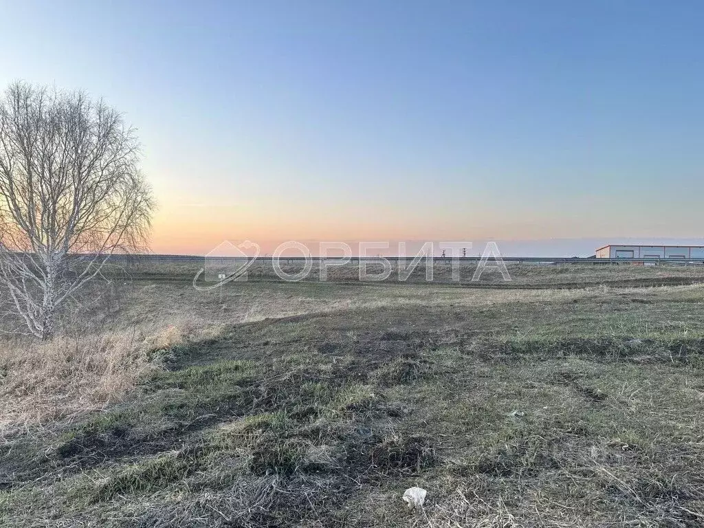 Участок в Тюменская область, Тюменский район, с. Кулаково  (216.0 ... - Фото 1