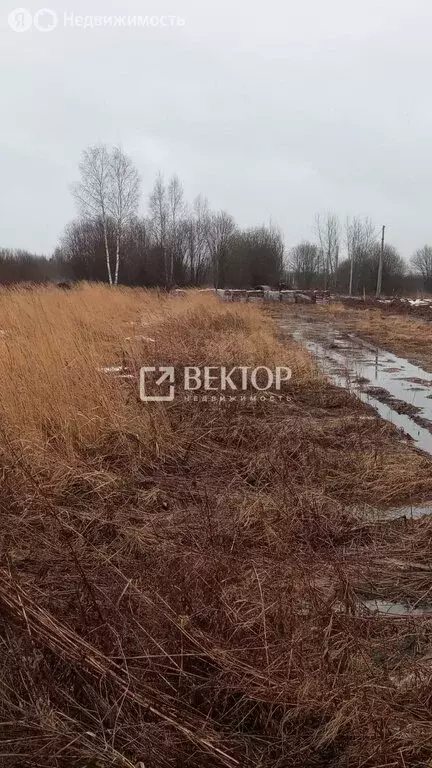 Участок в Кострома, Ситцевый проезд (11.7 м) - Фото 1