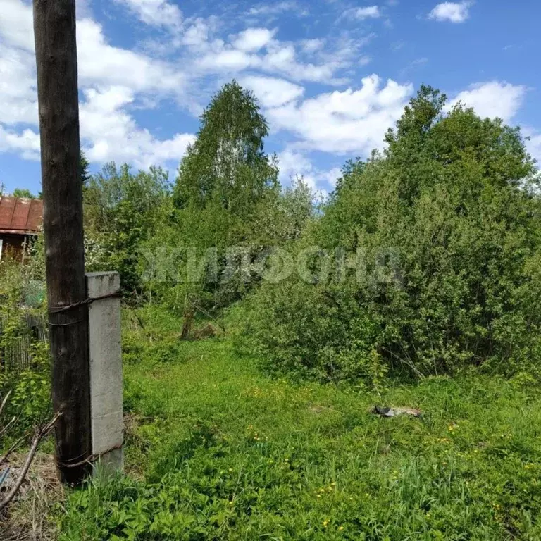 Участок в Томская область, Томск Геолог-1 садовое товарищество,  (6.9 ... - Фото 1