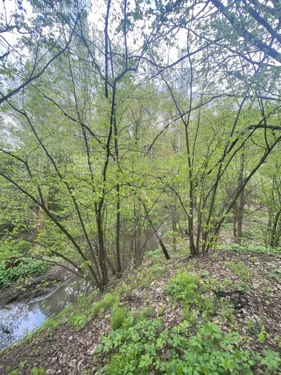 Участок в Ленинский городской округ, деревня Коробово (38.309998 м) - Фото 1