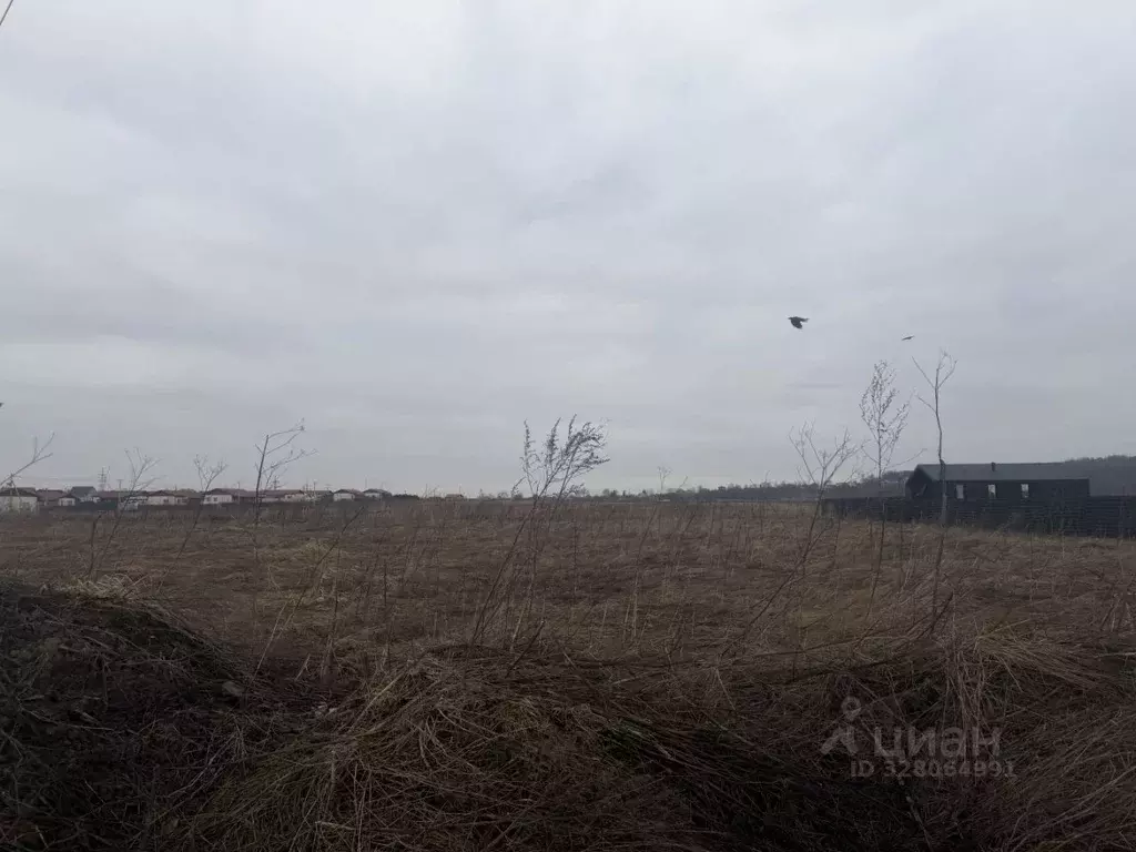 Участок в Ленинградская область, Гатчинский муниципальный округ, Тайцы ... - Фото 2