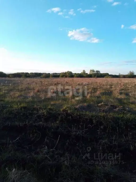 Участок в Воронежская область, с. Новая Усмань ул. Дачная (9.0 сот.) - Фото 0