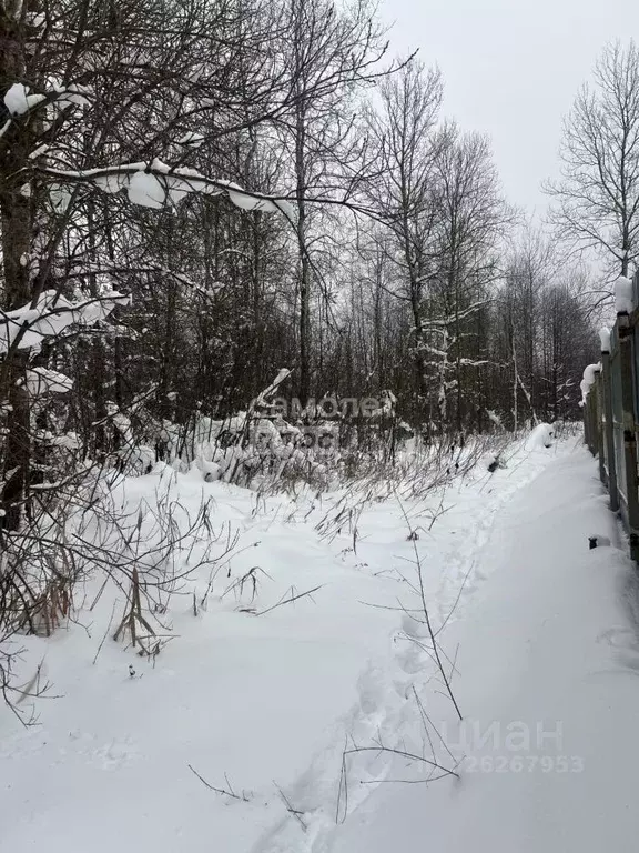 Участок в Московская область, Куровское Орехово-Зуевский городской ... - Фото 1