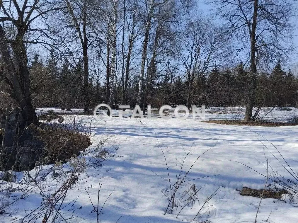 Участок в Московская область, Видное ул. 2-я Спортивная, 2 (100.0 ... - Фото 2