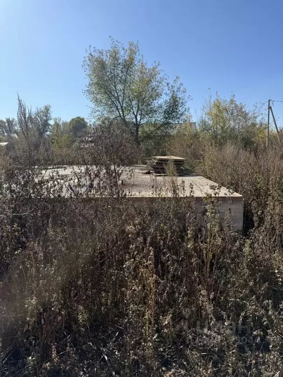 Участок в Оренбургская область, Оренбург Березка СНТ, ул. Садовая (6.0 ... - Фото 2