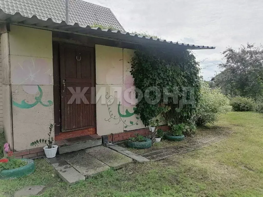 Дом в Новосибирская область, Ордынский район, с. Красный Яр ул. Мира ... - Фото 1