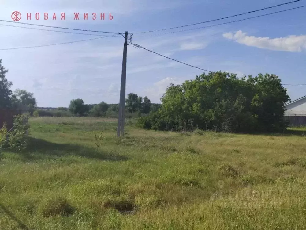 Участок в Самарская область, Красный Яр с/пос, пос. Кочкари ул. ... - Фото 1