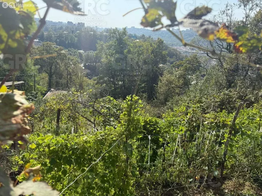 Участок в Краснодарский край, городской округ Сочи, село Верхний Юрт, ... - Фото 2