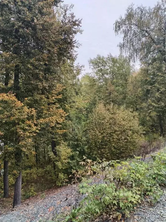3-к кв. Татарстан, Казань Озеро Лебяжье тер.,  (62.2 м) - Фото 1