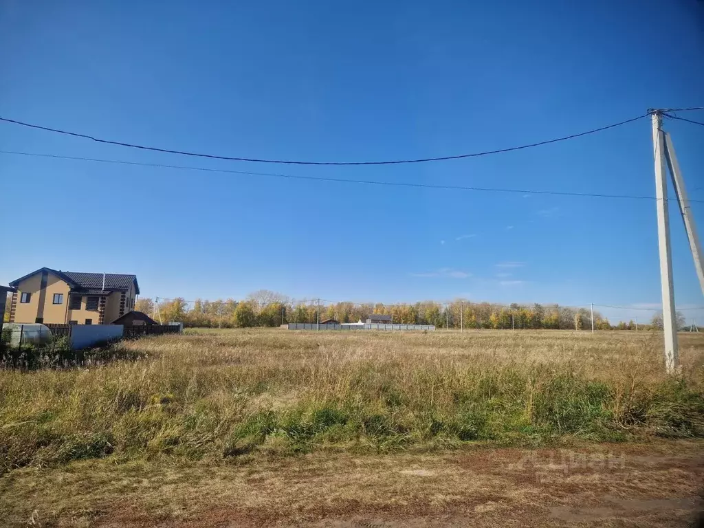 Участок в Новосибирская область, Новосибирский район, Морской ... - Фото 1