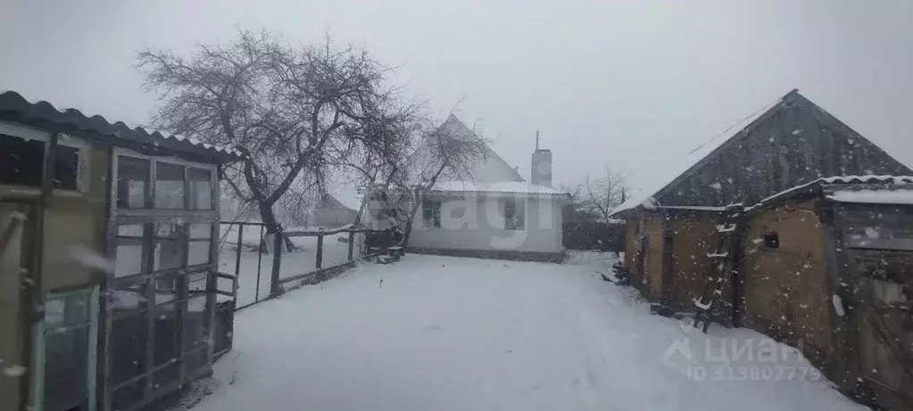 Дом в Брянская область, Брасовский район, Локоть рп ул. Ткаченко (70 ... - Фото 1