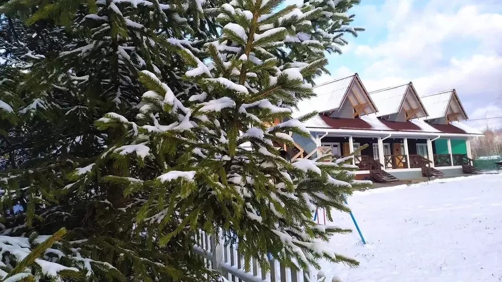 Дом в Московская область, Коломна городской округ, д. Шапкино ул. ... - Фото 1