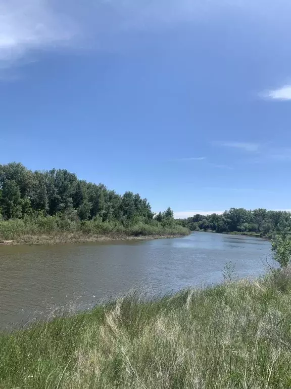Участок в Оренбургская область, Оренбургский район, Ивановский ... - Фото 0