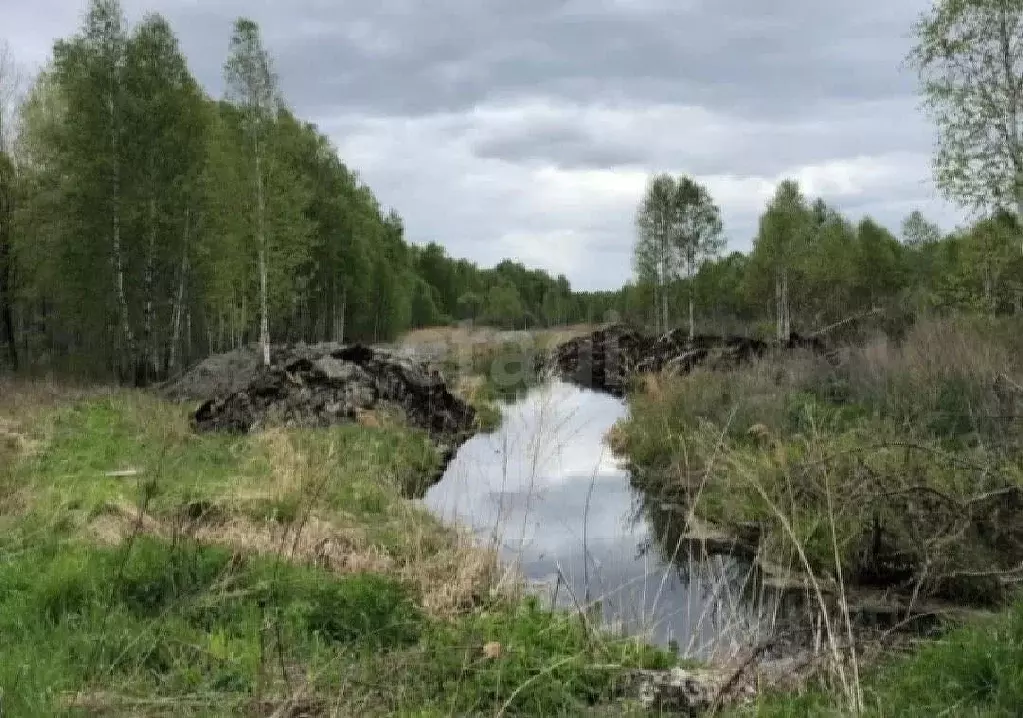 Участок в Тюменская область, Нижнетавдинский муниципальный округ, ... - Фото 1