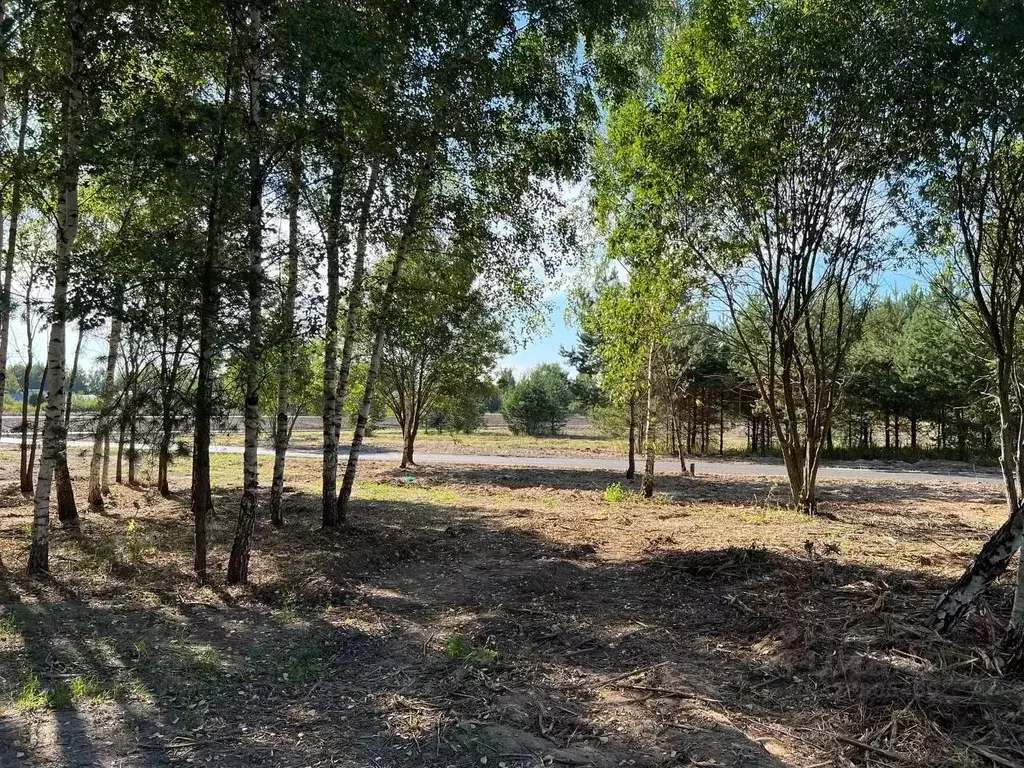 Участок в Московская область, Подольск городской округ, Пузиково кп 20 ... - Фото 2