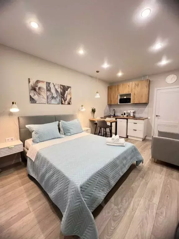 1-к кв. Краснодарский край, Сочи ул. Искры, 88к8 (29.0 м) - Фото 2