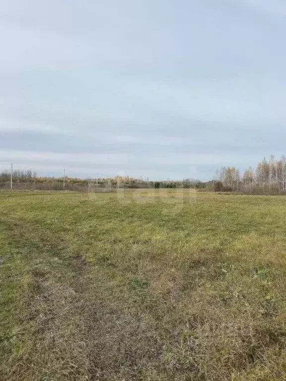 Участок в Свердловская область, Слободо-Туринский район, ... - Фото 1