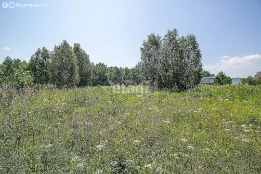 Участок в Нижнетавдинский район, деревня Штакульская (13.52 м) - Фото 1