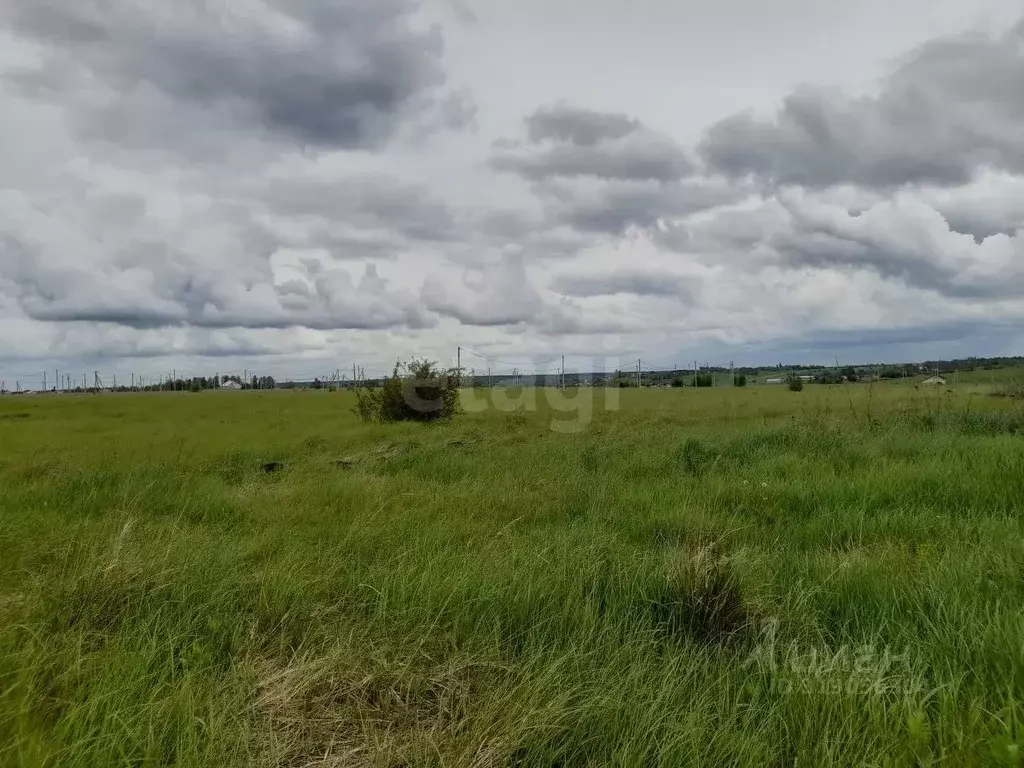 Участок в Саратовская область, Балашовский район, Хоперское ... - Фото 1