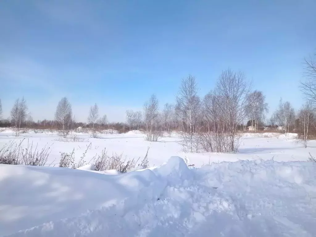 Участок в Тюменская область, Нижнетавдинский муниципальный округ, ... - Фото 2