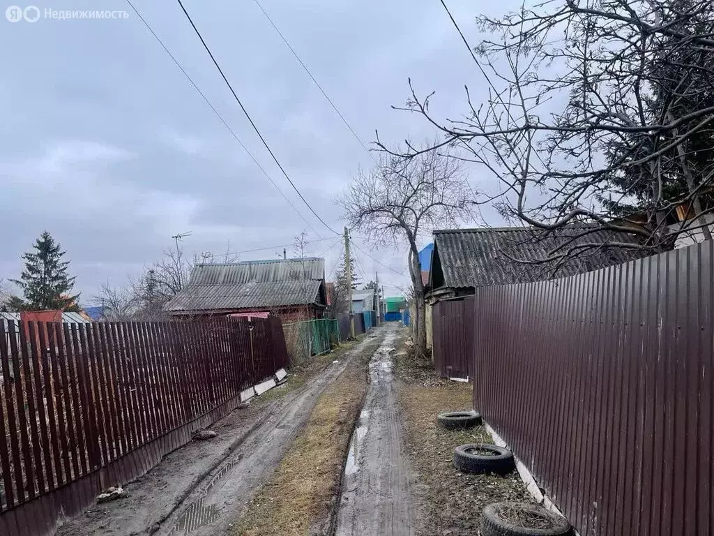 Участок в Тюменская область, Вагайский муниципальный округ, Шестовское ... - Фото 2