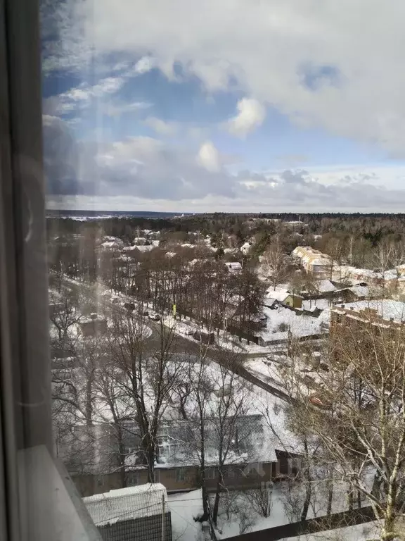 1-к кв. Московская область, Звенигород Одинцовский городской округ, ... - Фото 1