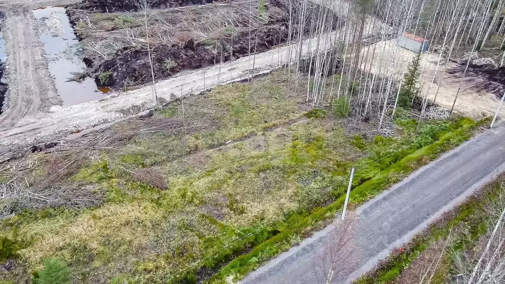 Участок в Ленинградская область, Всеволожск Щегловское Раздолье кп, 21 ... - Фото 1