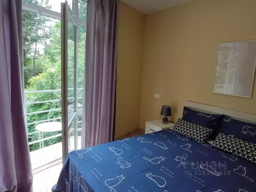 1-к кв. Краснодарский край, Сочи Сухумское ш., 29Б (26.0 м) - Фото 2