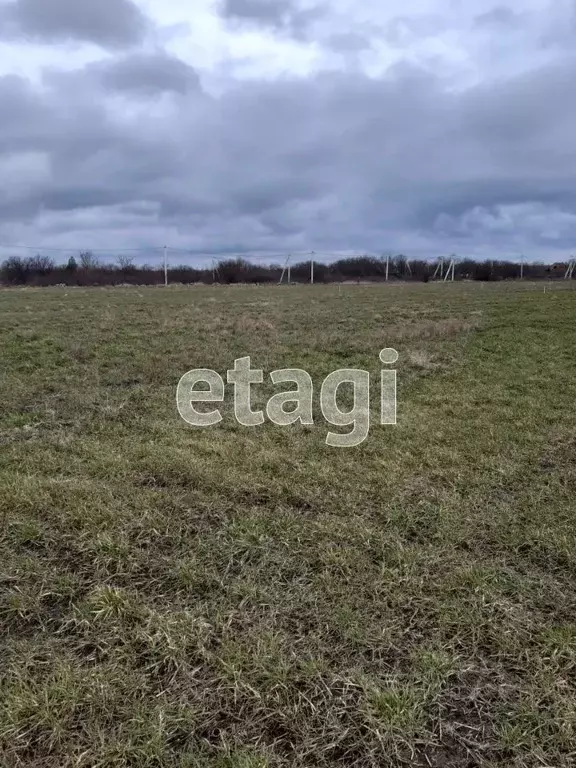 Участок в Краснодарский край, Ейск Красная ул., 83/4 (6.1 сот.) - Фото 1