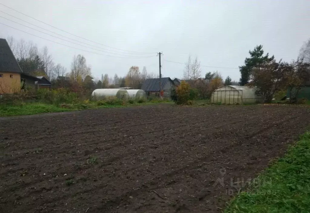 Участок в Новгородская область, Валдай ул. Энтузиастов (24.0 сот.) - Фото 1