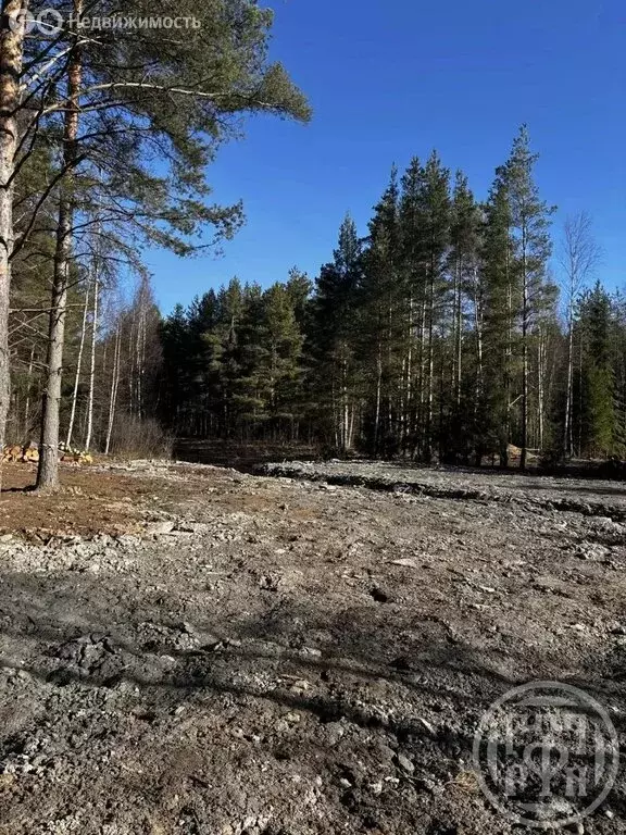 Участок в Ломоносовский район, Лебяженское городское поселение, ... - Фото 1