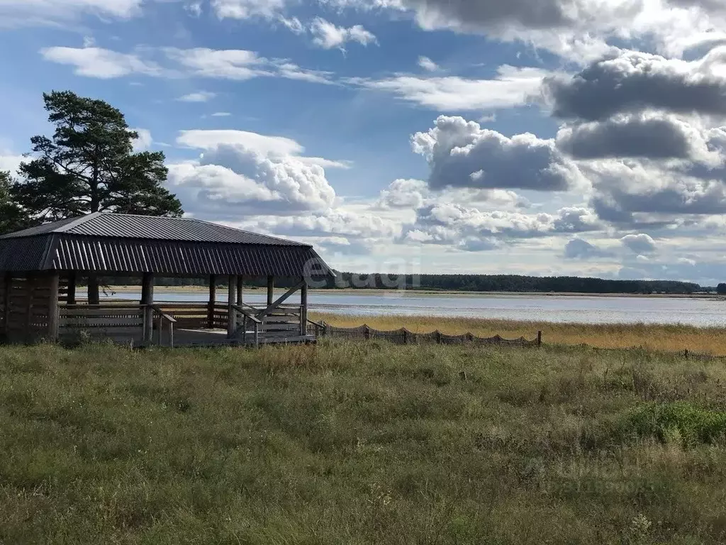 Дом в Алтайский край, Каменский район, с. Дресвянка Школьная ул. (100 ... - Фото 1