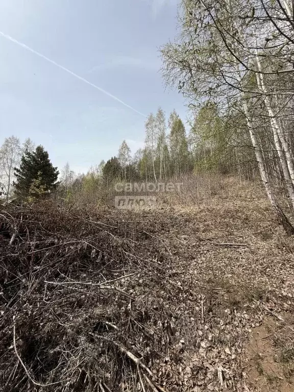 Участок в Иркутская область, Иркутский муниципальный округ, ... - Фото 1