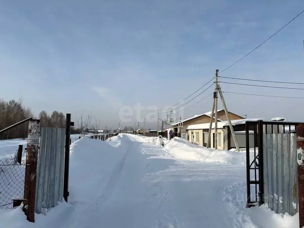 Участок в Новосибирская область, Коченевский район, Лазурит СНТ ул. ... - Фото 2