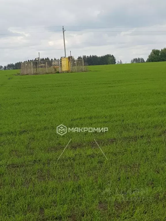 Участок в Орловская область, Орловский район, д. Кондырева  (11.0 ... - Фото 0