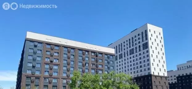 Квартира-студия: Тюмень, Новгородская улица, 20 (28.8 м) - Фото 1