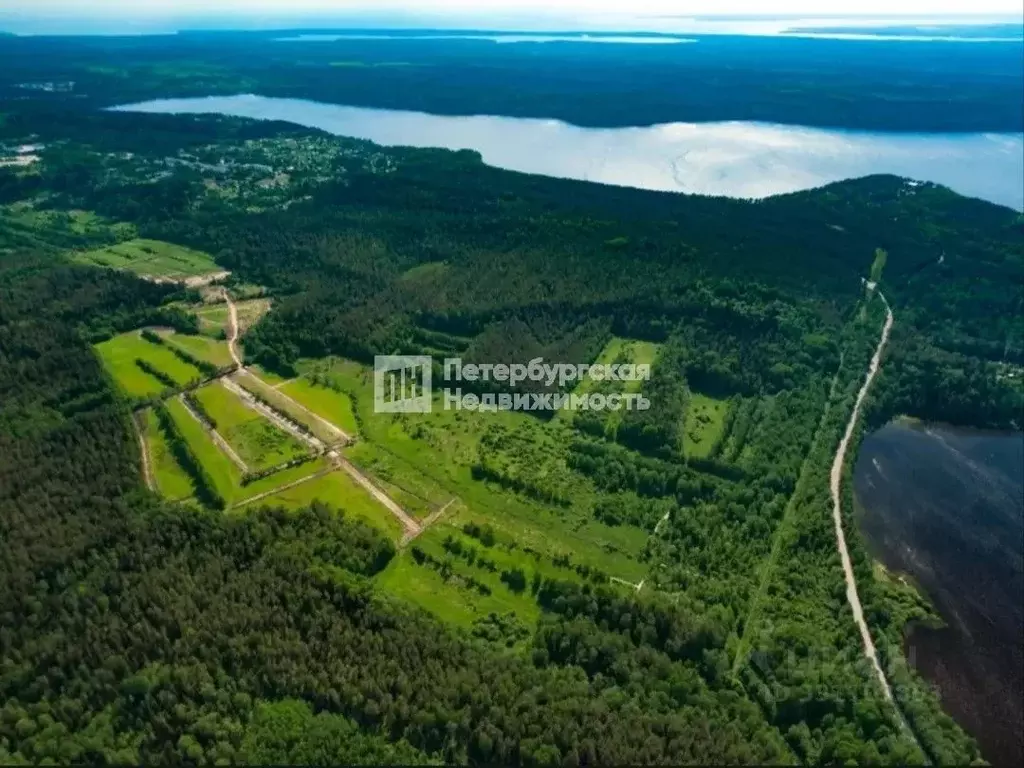 Участок в Ленинградская область, Выборгский район, Приморское ... - Фото 1