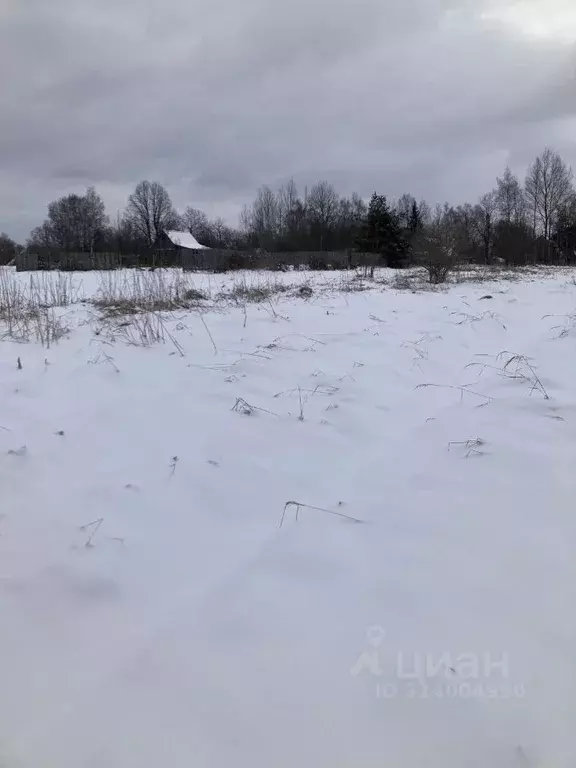 Участок в Смоленская область, Гагаринский муниципальный округ, д. ... - Фото 1