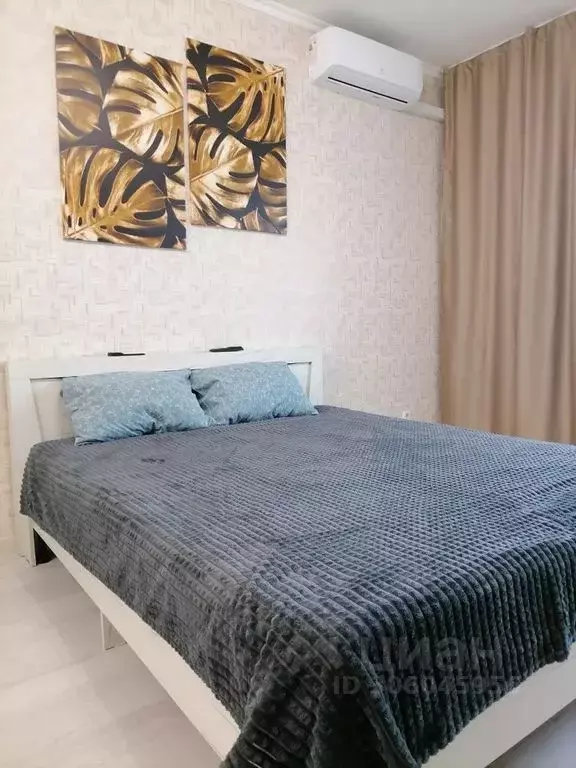 Студия Санкт-Петербург ул. Руставели, 60 (25.0 м) - Фото 0